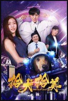 拾犬拾美海報