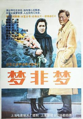 夢(mèng)非夢(mèng)海報(bào)