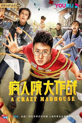 瘋?cè)嗽捍笞鲬?zhàn) 海報