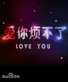 愛你煩不了海報