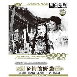 多情的野貓 海報(bào)