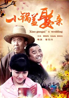 小鍋蓋娶親 海報