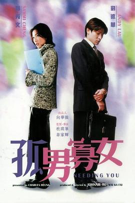 孤男寡女 海報
