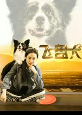 飛盤犬 海報