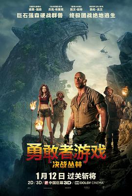 勇敢者游戲：決戰(zhàn)叢林 海報(bào)