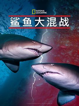 鯊魚大混戰(zhàn) 海報(bào)