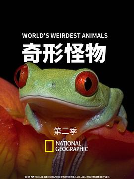 奇形怪蛇 海報