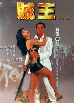 賊王1995 海報(bào)