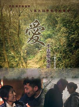 愛不需要承諾海報(bào)