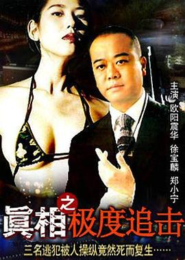 真相之極度追擊 海報(bào)