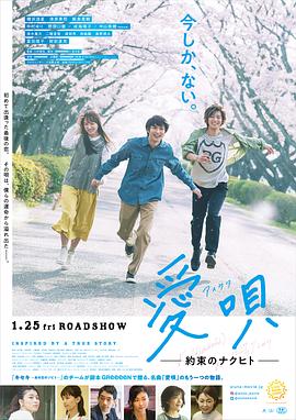 愛(ài)歌:約定的承諾海報(bào)