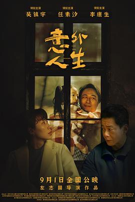 意外人生 海報(bào)