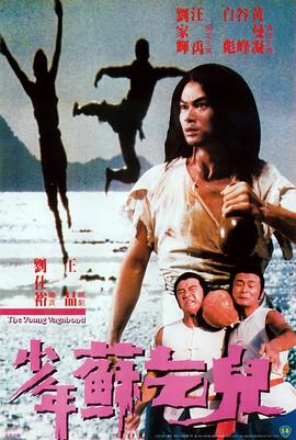 少年蘇乞兒 海報(bào)