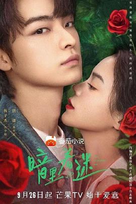 暗里著迷