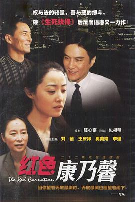 紅色康乃馨海報(bào)
