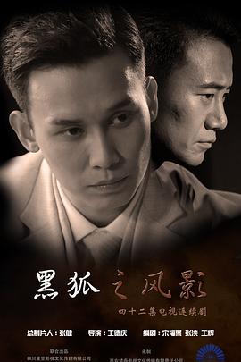 黑狐之風(fēng)影海報(bào)