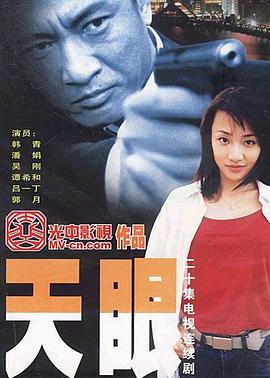 天眼2003