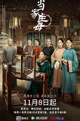 當(dāng)家主母海報