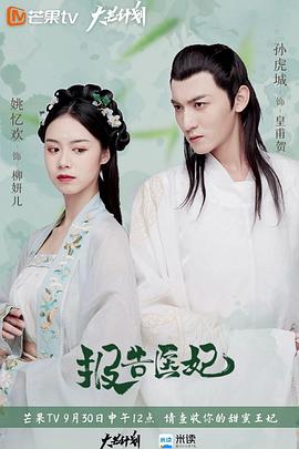 報告醫(yī)妃海報