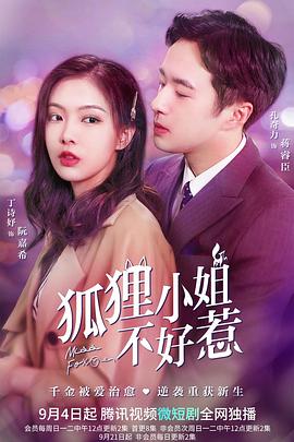 狐貍小姐不好惹海報
