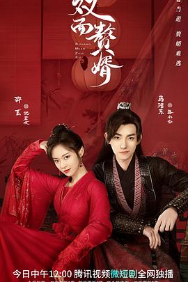 雙面贅婿海報(bào)