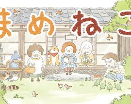 豆豆貓 海報
