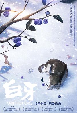 白牙海報