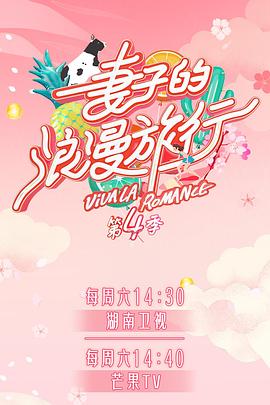 妻子的浪漫旅行第四季 海報