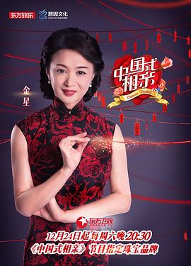 中國式相親第一季 海報