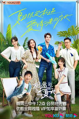 相遇的夏天 海報