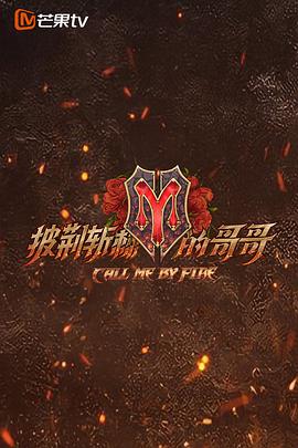 披荊斬棘的哥哥 海報