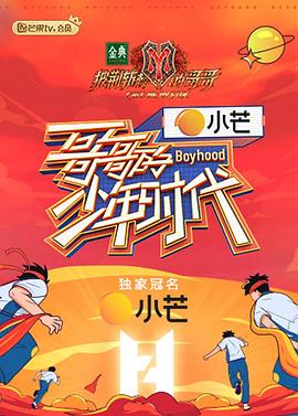 哥哥的少年時(shí)代 海報(bào)