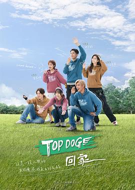 TOP DOG 海報(bào)