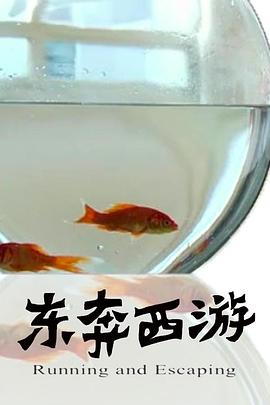 11度青春之《東奔西游》 海報