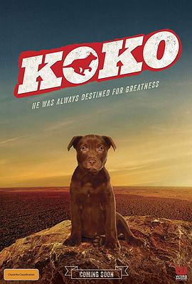 Koko紅犬歷險記 海報