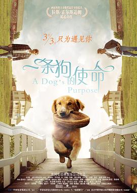 一條狗的使命 海報