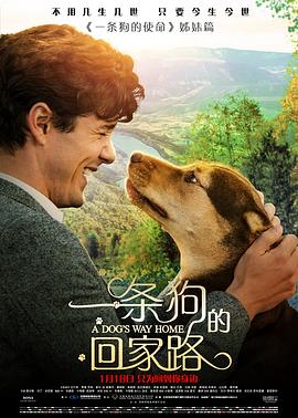 一條狗的回家路海報