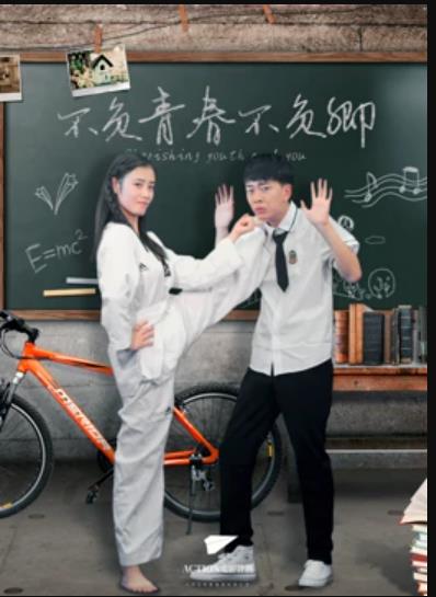 不負(fù)青春不負(fù)卿 海報(bào)