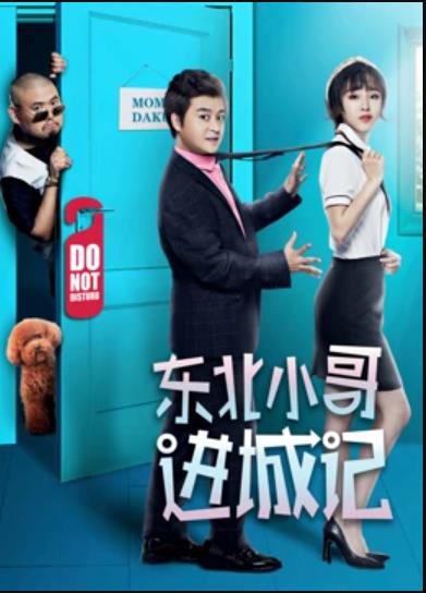 東北小哥進城記 海報