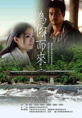 為你而來 海報