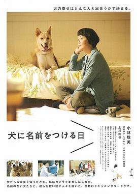 為你取名的那一天 海報