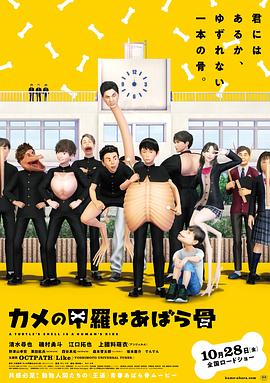 烏龜?shù)臍て鋵嵤抢吖?海報