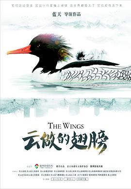 云做的翅膀海報