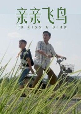 親親飛鳥(niǎo) 海報(bào)