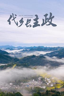 代鄉(xiāng)長(zhǎng)主政海報(bào)