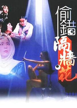 偷錯(cuò)隔墻花 海報(bào)