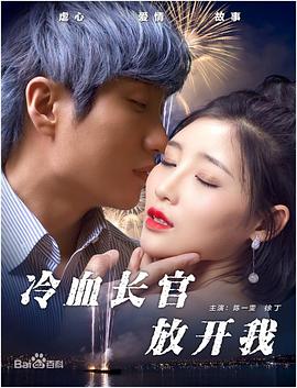 冷血長官放開我海報(bào)