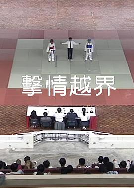 擊情越界 海報