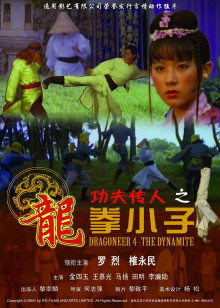 功夫傳人之龍拳小子 海報