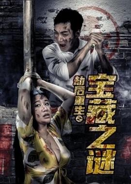 劫后重生之寶藏之謎 海報